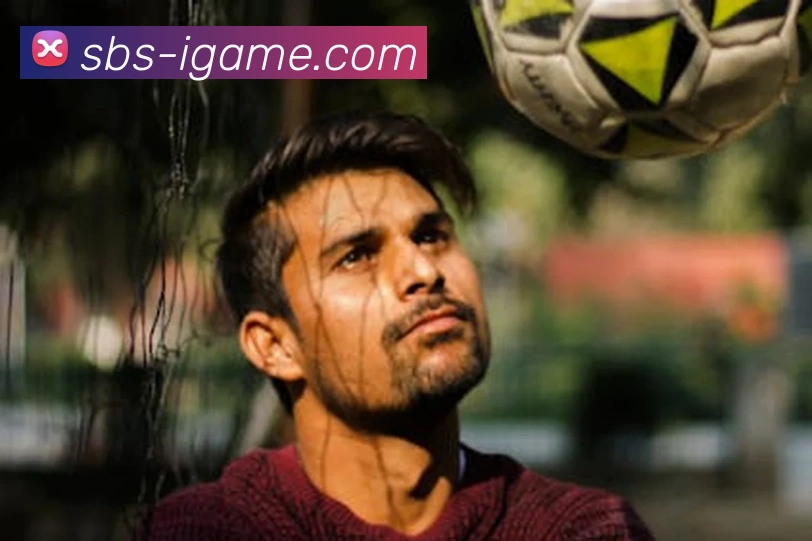 爱游戏体育平台生态图